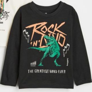 エイチアンドエム(H&M)のH&M 恐竜長袖Tシャツ(Tシャツ/カットソー)