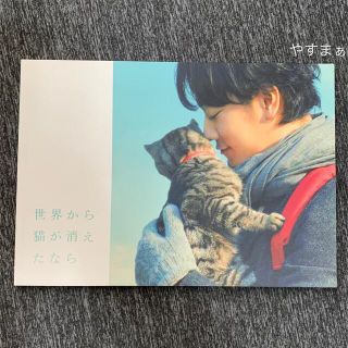 世界から猫が消えたなら パンフレット 佐藤健 宮崎あおい(男性タレント)