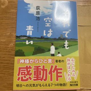 それでも空は青い(文学/小説)