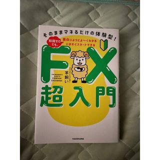 いますぐスタートできるＦＸ超入門　そのままマネるだけの体験型！知識ゼロでも、面白(ビジネス/経済)