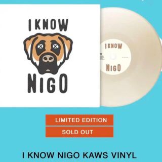 限定版 I KNOW NIGO KAWS VINYL LP レコード　(ヒップホップ/ラップ)