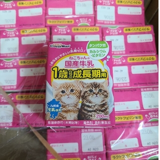 【15個】子猫 ミルク 国産牛乳(ペットフード)