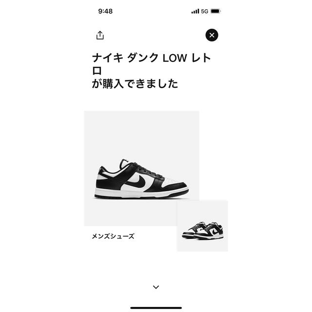 Nike Dunk Low Retro "White/Black"