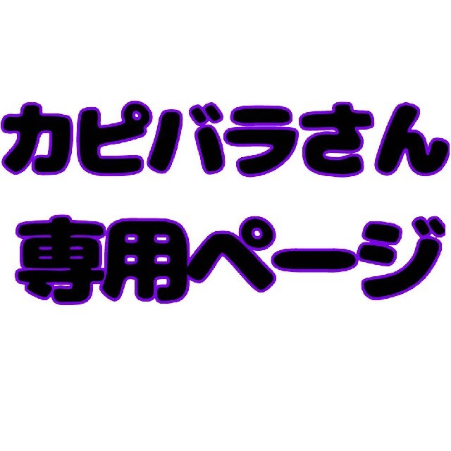 カピバラさん専用ページの通販 by みゆぅ's shop|ラクマ