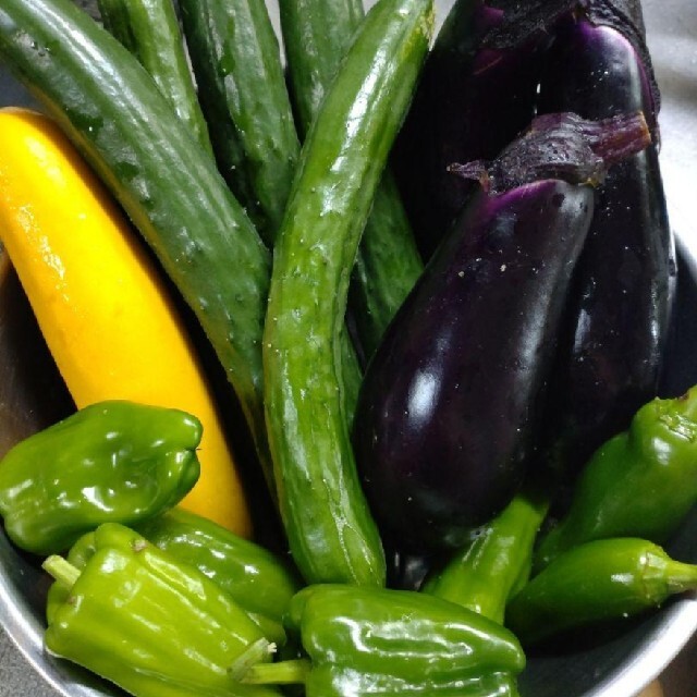 野菜詰め合わせセット　無農薬栽培 食品/飲料/酒の食品(野菜)の商品写真