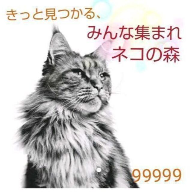 嬉しい楽しい大好きが一杯(ΦωΦ)ここから検索　猫　#みんな集まれネコの森　日本