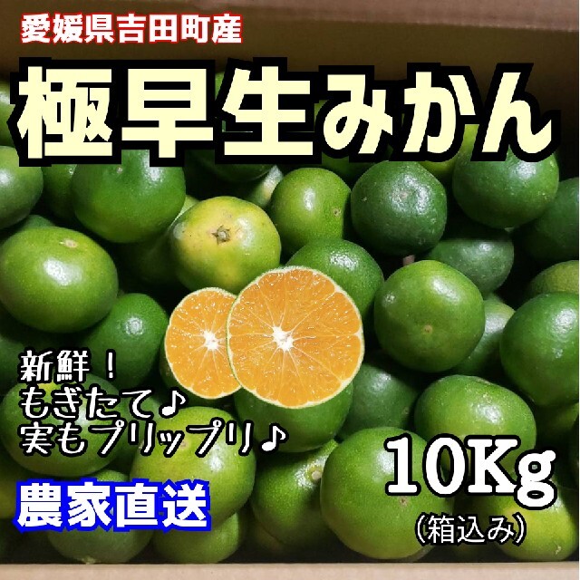 愛媛県産　小玉　極早生みかん　柑橘　5kg