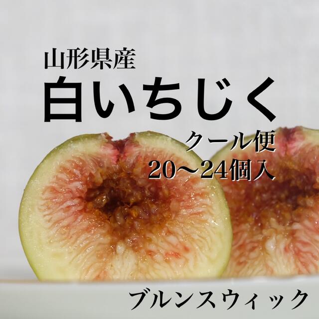 クール便★山形県産 白いちじく 20〜24個入り 食品/飲料/酒の食品(フルーツ)の商品写真