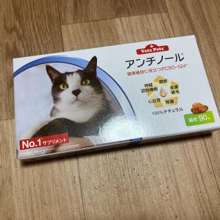 アンチノール(猫)