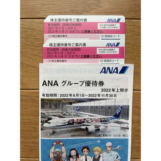 ANA株主優待券２枚　グループ優待券冊子(その他)