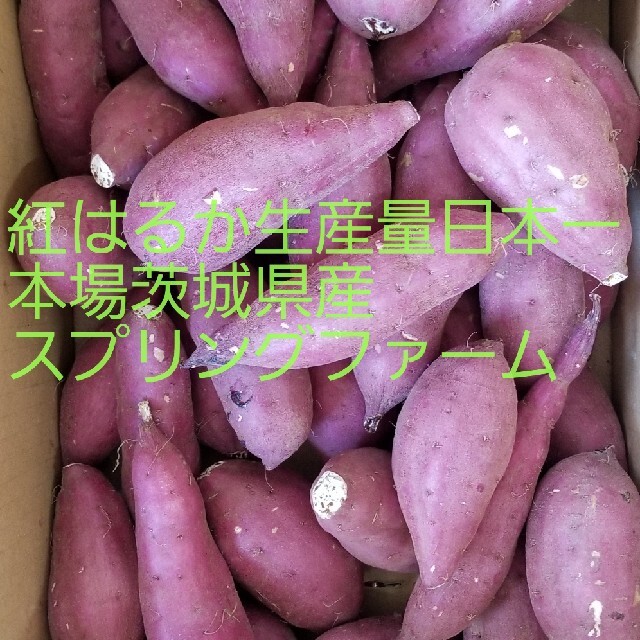 Sサイズ秀品24㌔重量おまけ付R4年紅はるか土付茨城県減農薬栽培 ...