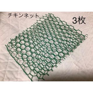 新品チキンネットMサイズ　3枚組(その他)