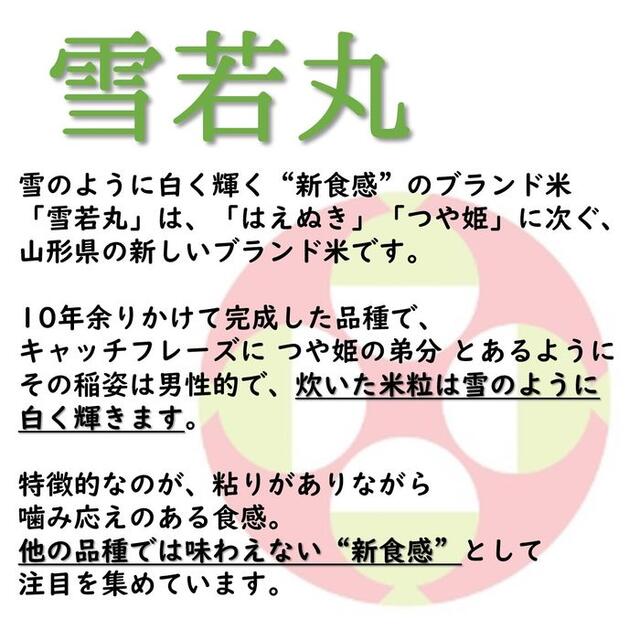 令和4年新米　山形県庄内産　雪若丸　玄米10kg　Ｇセレクション　特別栽培米 4