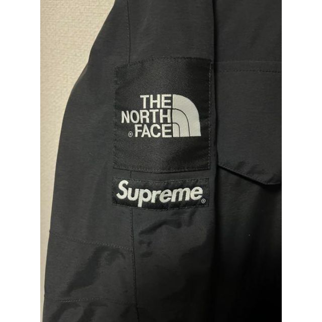 Lサイズ Supreme 17ss The North Face Antarct 最も完璧な レディース