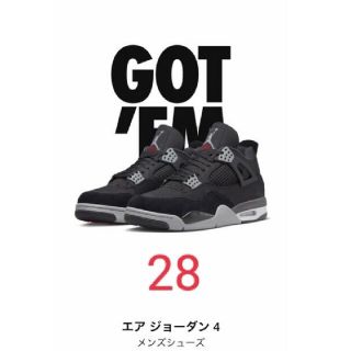 Jordan 4 SE Black and Light Steel 28cm(スニーカー)