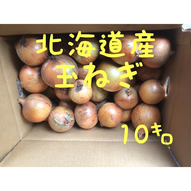 北海道産 農家直送 玉ねぎ 10㌔ 食品/飲料/酒の食品(野菜)の商品写真