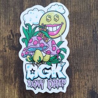 ディージーケー(DGK)の(縦11.5cm横6.5cm)dgk ディージーケー　ステッカー(スケートボード)