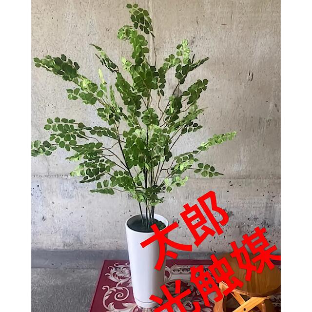 光触媒　人工観葉植物　ウォールグリーン　フェイク　フラワー　アジアンタム花器付大