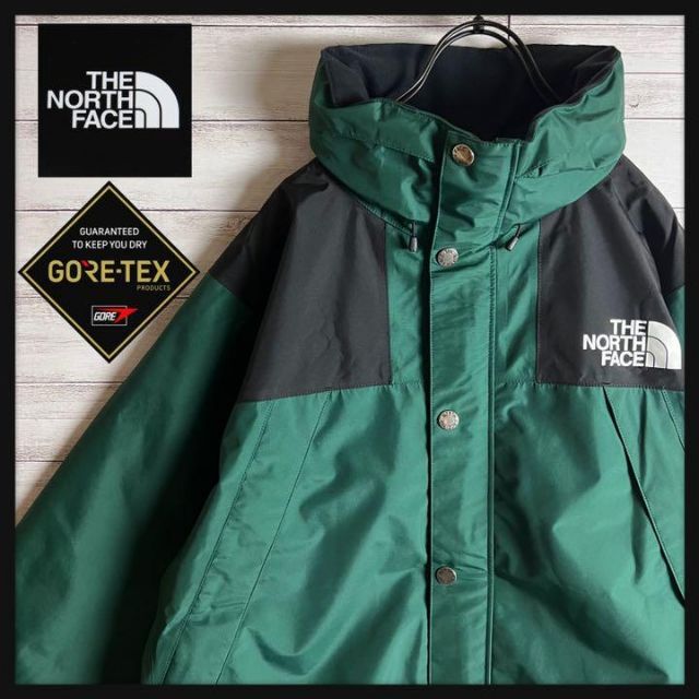 【即完売】NORTH FACE マウンテンパーカー フード付き ゴアテックス