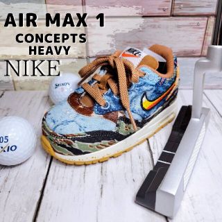 『超希少デザイン‼️』NIKE AIR MAX 1✨パター カバー✨ピン型