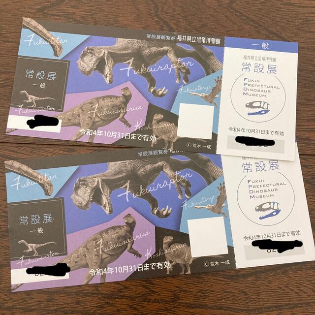 福井県立恐竜博物館　一般チケット2枚 チケットの施設利用券(美術館/博物館)の商品写真