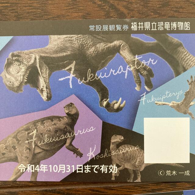 福井県立恐竜博物館　一般チケット2枚 チケットの施設利用券(美術館/博物館)の商品写真