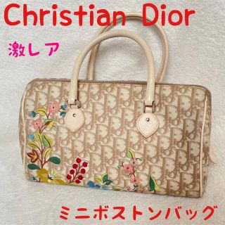 クリスチャンディオール(Christian Dior)の美品　少し汚れあり　クリスチャン・ディオール ボストンバッグ トロッター　(ボストンバッグ)