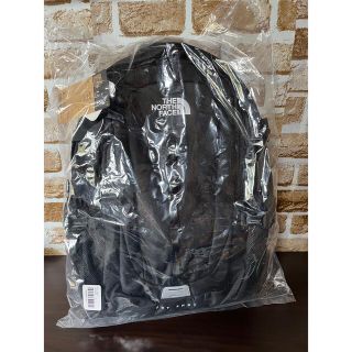 ザノースフェイス(THE NORTH FACE)のノースフェイス　HOT SHOT 27L  2022年春夏モデル　シン38様専用(バッグパック/リュック)