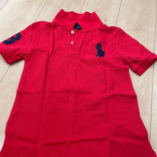 ポロラルフローレン(POLO RALPH LAUREN)の専用(Tシャツ/カットソー)