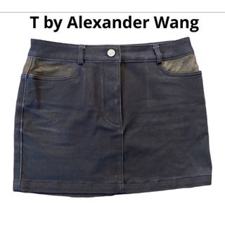 アレキサンダーワン(Alexander Wang)のT by Alexander Wangアレキサンダーワンミニスカートサイズ25(ミニスカート)