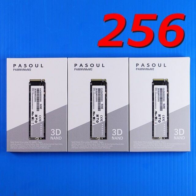 【SSD 256GB 3個セット】PASOUL M.2 2280 NVME