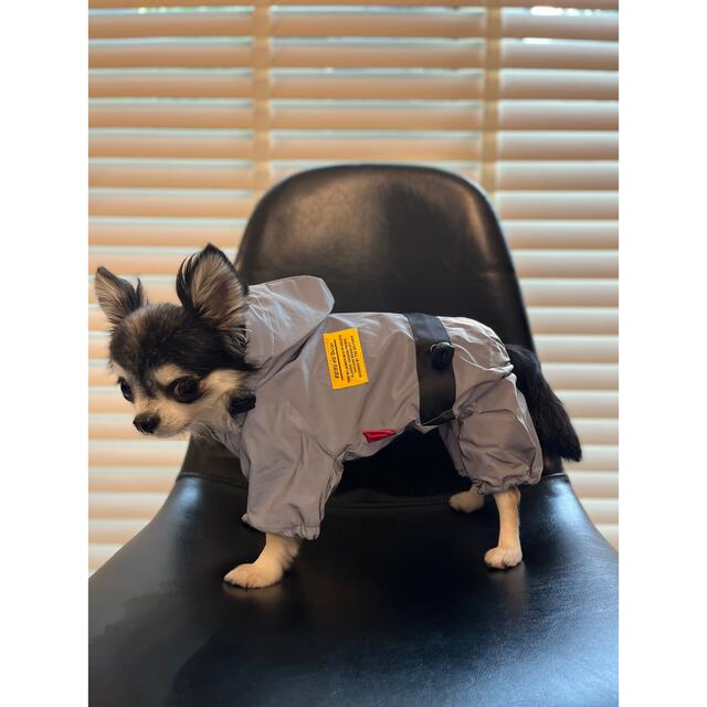 犬服　レインコート ハンドメイドのペット(ペット服/アクセサリー)の商品写真