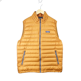 パタゴニア(patagonia)のPATAGONIA 19aw DOWN SWEATER VEST(ベスト)