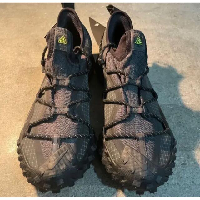 NIKE(ナイキ)のACG Mountain Fly Low SE 27.5 メンズの靴/シューズ(スニーカー)の商品写真