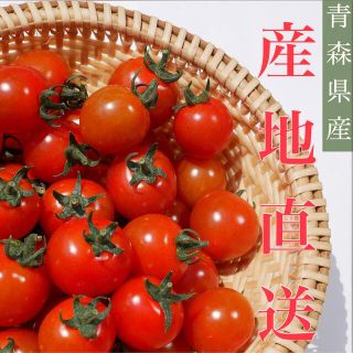 ミニトマト 1kg 青森県産☘️ 採れたてを産地直送します！(野菜)