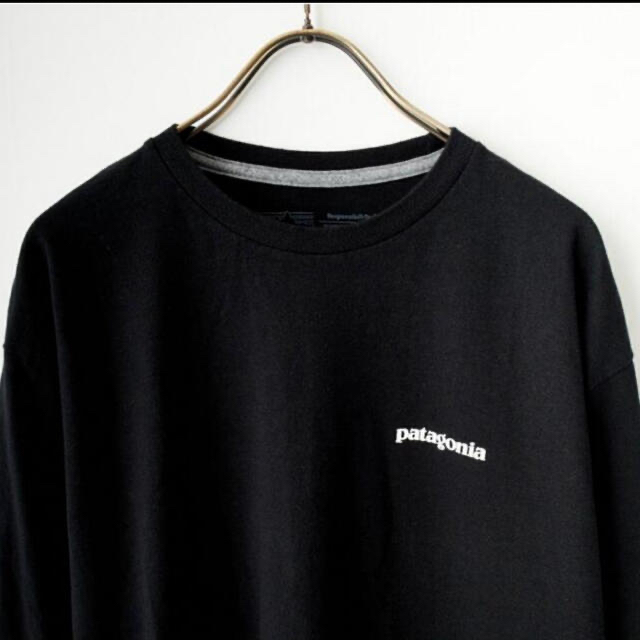 patagonia(パタゴニア)のパタゴニア　ホーム・ウォーター・トラウト・レスポンシビリティー　Mサイズ メンズのトップス(Tシャツ/カットソー(七分/長袖))の商品写真