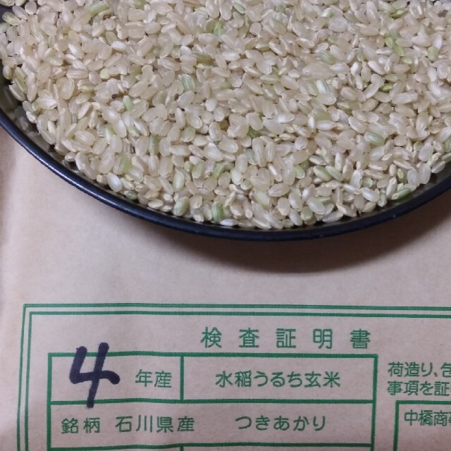 玄米　３０kg　つきあかり　新米　米/穀物