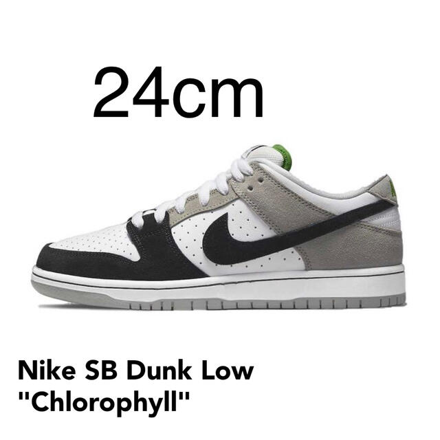 24.0cm NIKE SB DUNK LOW PRO クロロフィル