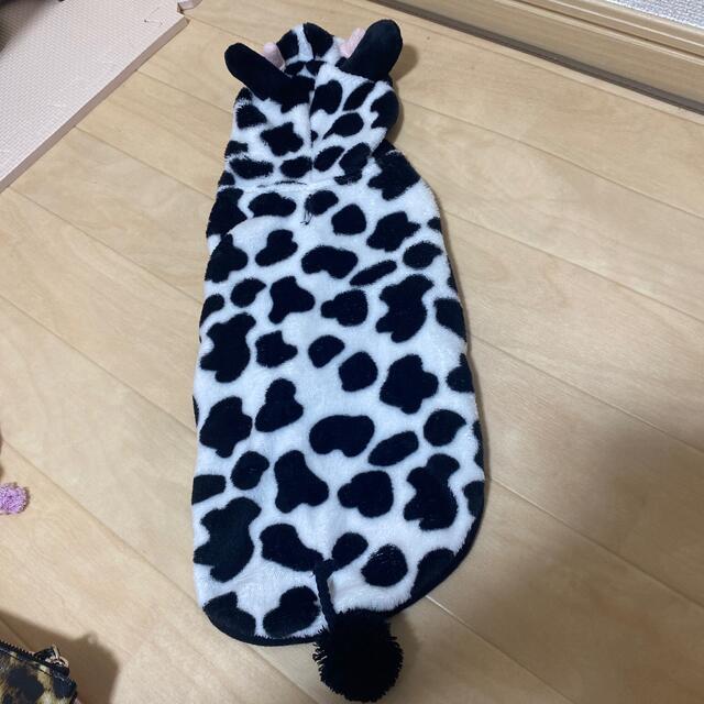 犬服　MDサイズ その他のペット用品(犬)の商品写真