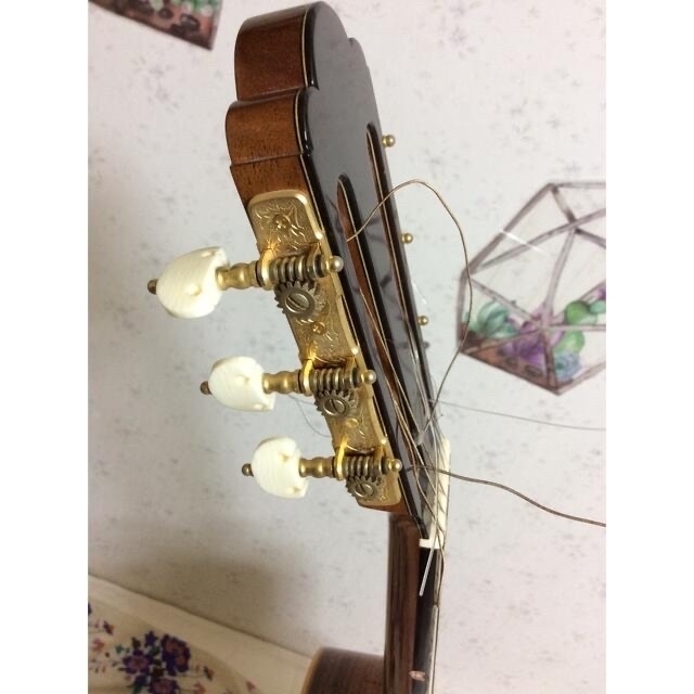Asturias Tsuji Wataru Guitar S-3 辻渡 | clinicaversalles.com.pe
