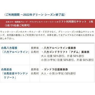 1枚で5名可 八方アルペンライン八方ゴンドラリフト「アダム」乗車券50％割引等(その他)