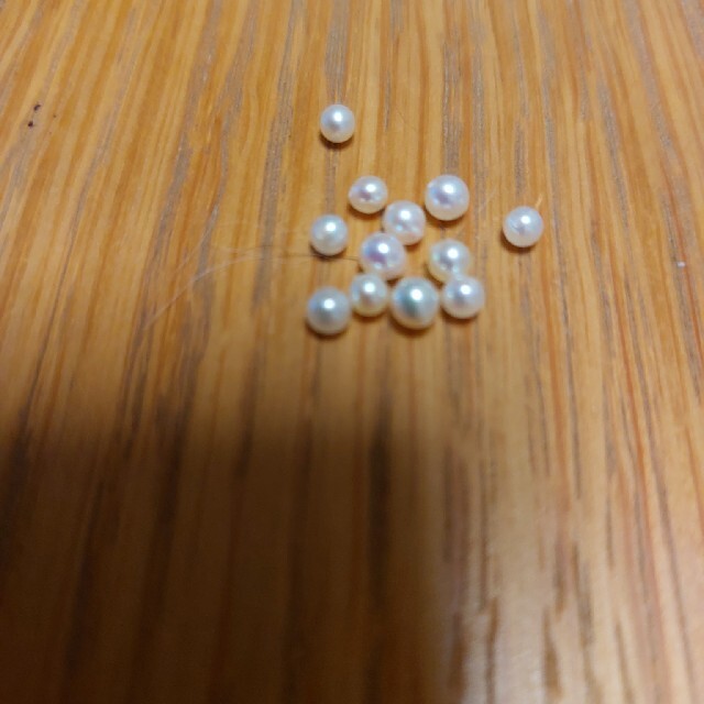 アコヤ貝本真珠4ミリ球100球少し在庫ありました。すいません。