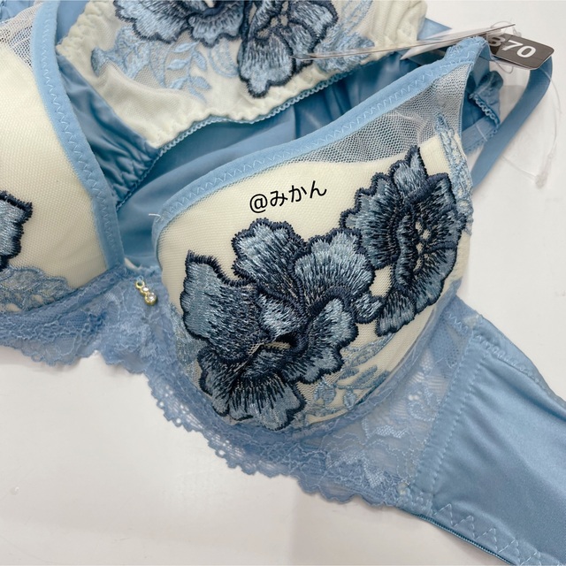 脇高育乳✨♥️ヌーディパステルピオニーブラショーツセット(ブルー) レディースの下着/アンダーウェア(ブラ&ショーツセット)の商品写真