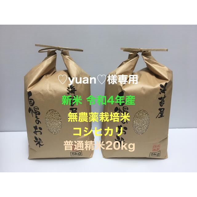 名作 ♡yuan♡ 無農薬コシヒカリ普通精米20kg(5kg×4)令和4年 新米 米/穀物 名作 ♡yuan♡ 無農薬コシヒカリ普通精米20kg(5kg×4)令和4年 新米 米/穀物
