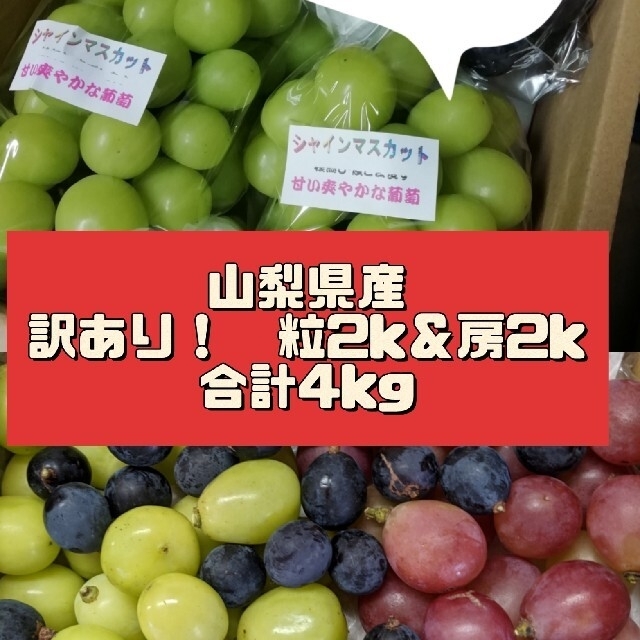 山梨県産ぶどう⭐️シャインマスカット⭐️JA共選品⭐️3房入り 箱込み約2キロ