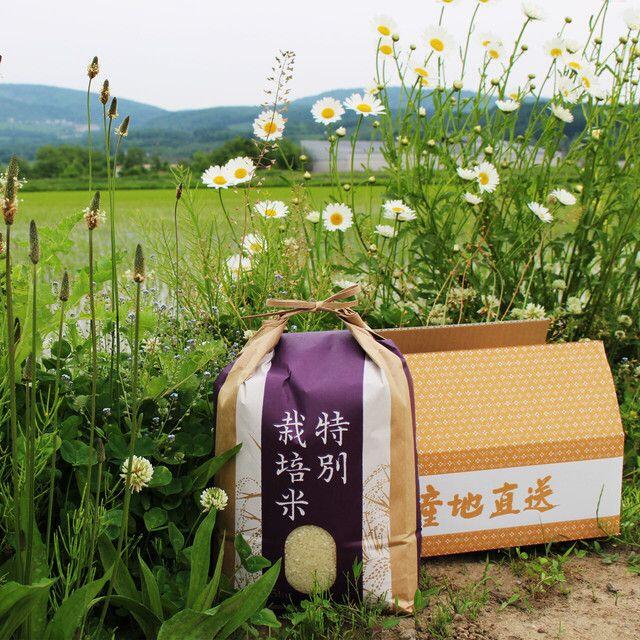2022年度新米!北海道産ゆめぴりか10kg×1玄米(農家直送 食品/飲料/酒の食品(米/穀物)の商品写真