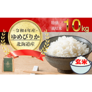 2022年度新米!北海道産ゆめぴりか10kg×1玄米(農家直送(米/穀物)