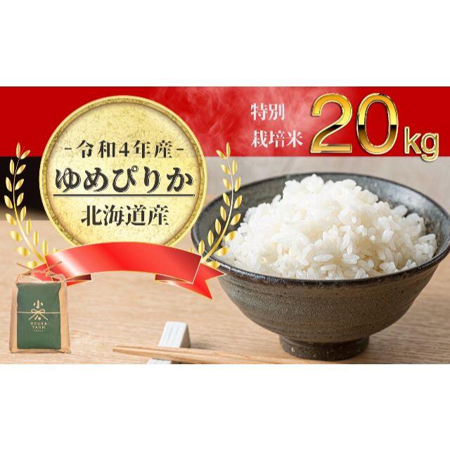 北海道産米  令和5年産  新米 白米 減農薬　ゆめぴりか 一等米 20㎏