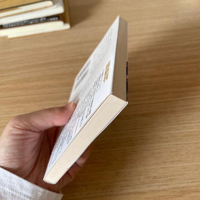 スイ－トリトルライズ エンタメ/ホビーの本(文学/小説)の商品写真