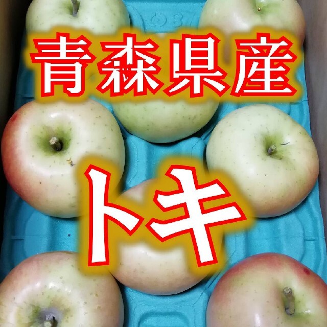 青森りんご　家庭用トキ3キロ